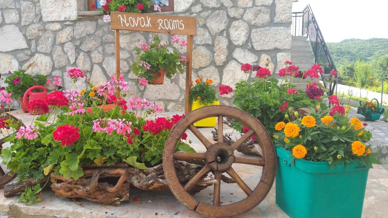 Village House - Novak Rijecani Rijeka Crnojevica Ngoại thất bức ảnh