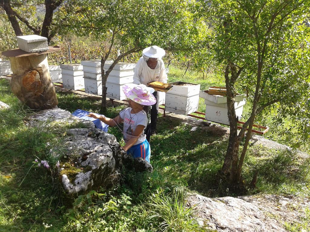 Village House - Novak Rijecani Rijeka Crnojevica Ngoại thất bức ảnh