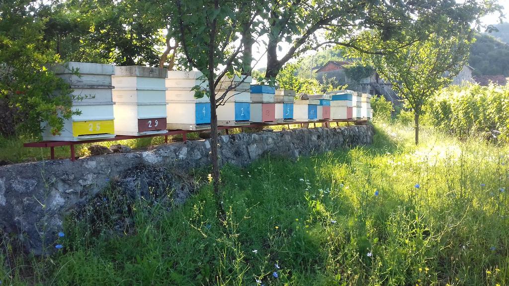 Village House - Novak Rijecani Rijeka Crnojevica Ngoại thất bức ảnh